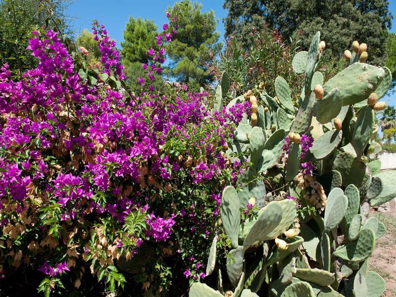 Ostuni A Mare Hotel Екстериор снимка